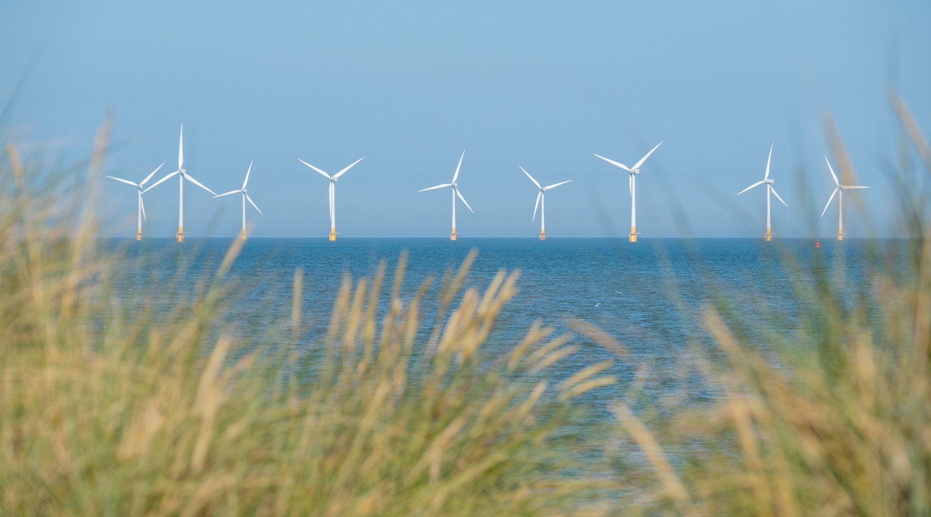 Image of offshore wind turbines