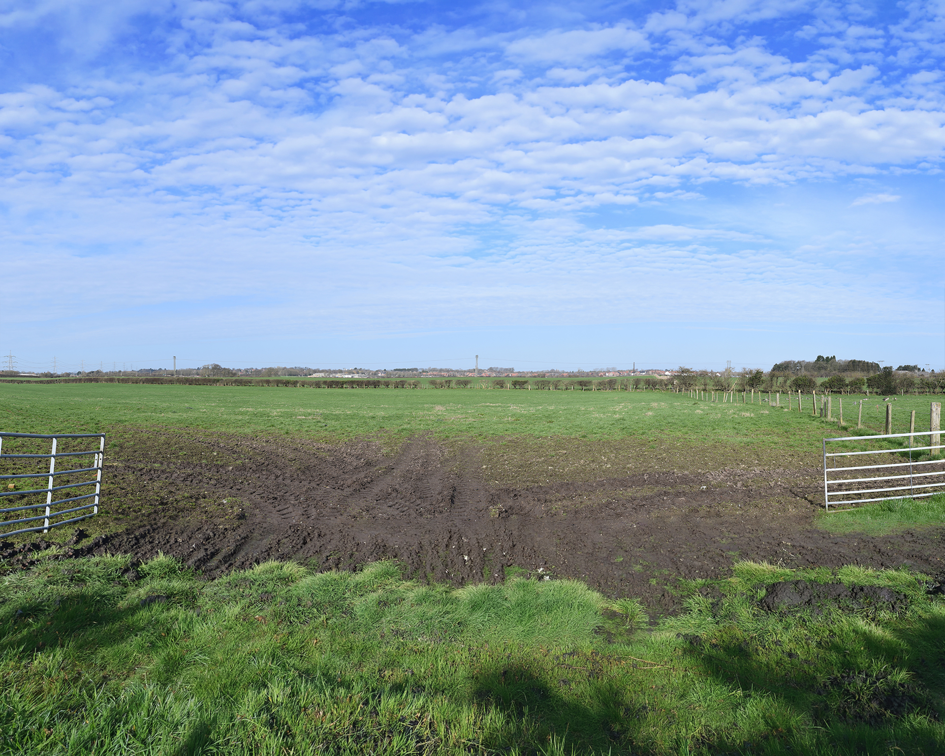 Viewpoint 1: Shepherd Lane - Baseline photograph